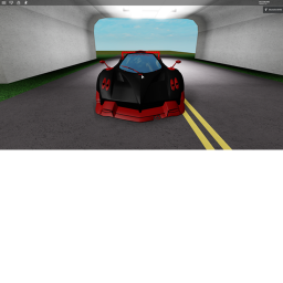 The race!
