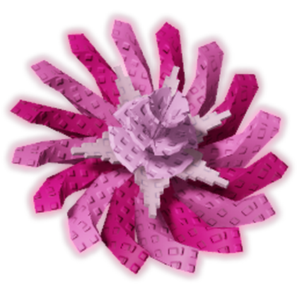 Pinkside Dandelion produce image