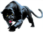 Sameer Panther Squad
