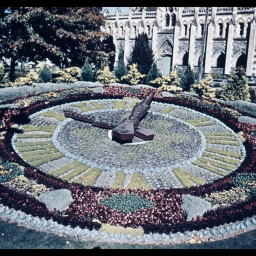 The Undergarden
