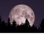Dreaming moons