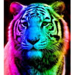 Tiger Blue Buses™