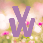 vividwears