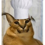 Floppa cat cafe