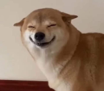 Renbutyes
