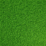 The Grass Group!