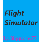Flight Simulator Group!
