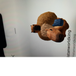 Capybara grupp