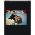 The destroyer cats