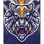 Cyber Tiger Studioz