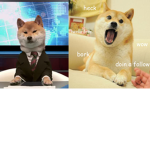 dogo friend club