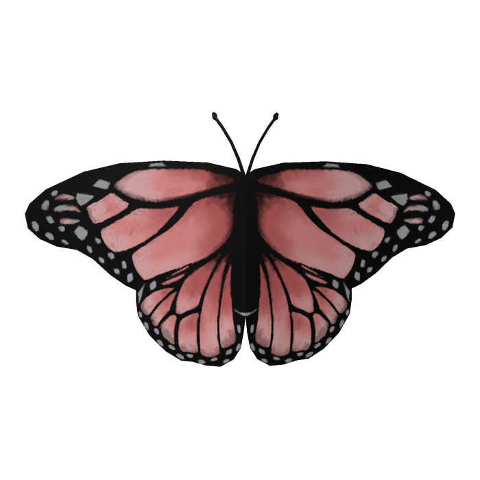 Pink Butterfly Face