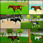 Heartwood Ranch Business