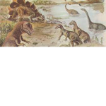 Land of Reptiles