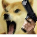 A friendly Doge