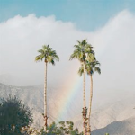 - Rainbow Vibes -