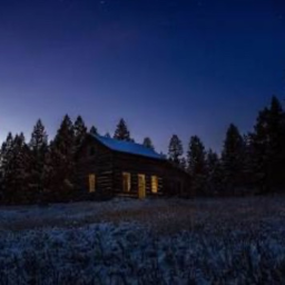Cabin Landscape