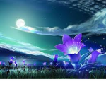 Mystic Meadow