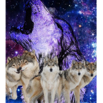 Spirit Of da wolf pack