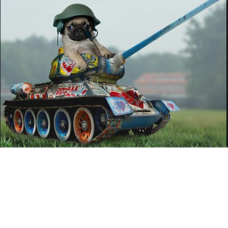 doge army training