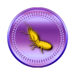 Hive Gathering