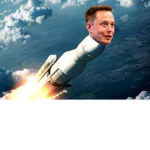 Elon Musk fangroup