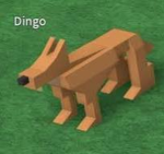 Dingo is the best group