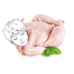 DJEJWHW