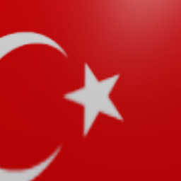 capture the flag version ( Türk vs France )