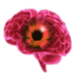 {Brain Laboratories}