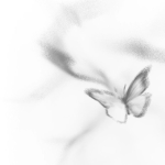enchantedsins