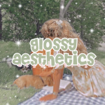 ʚ glossy aesthetics ɞ