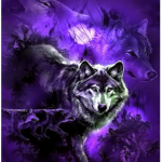 Night Raid ~ Assassin