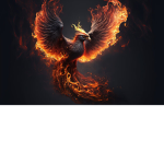 PHOENIX MEMBER'S POWER