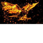Flame of Fortune