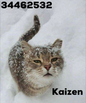 카Kaizen