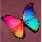 Queen_cool