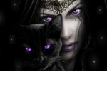 Black cat lvl