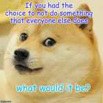 doge day:3