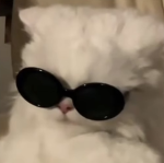 cutetoastoca’s group