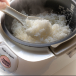 The Rice Family Foundation