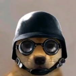 Oski's Boating School