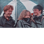 ~Harry Potter group~