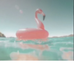 dreamy squxd