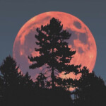  𝓭  𝓲𝓼𝓬𝓸𝓻 🅳 