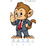 Money spent monkey