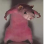 LilVibes