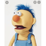 DHMIS FAN TEAM