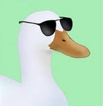 super cool ducks :)