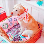 Preppy dais by Daisy :)